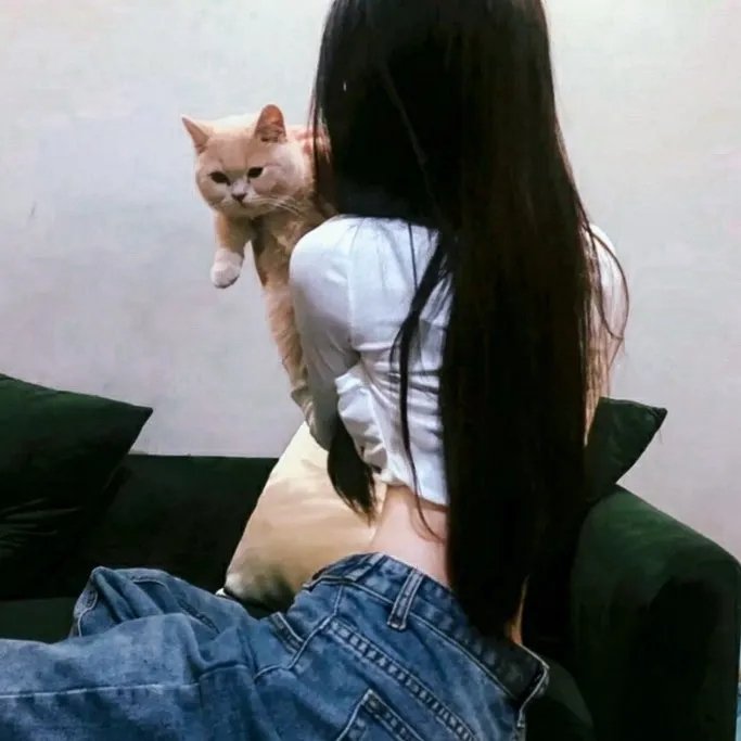 老虎与妙贼海报